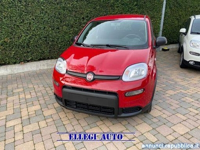 Fiat Panda PROMO FIN. 1.0 FireFly S&S Hybrid MY 23 KM 0 Castello di Annone