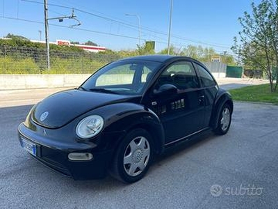 New beetle