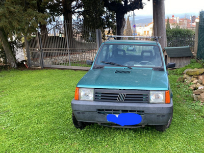 Usato 2002 Fiat Panda 4x4 1.1 LPG_Hybrid 54 CV (6.500 €)