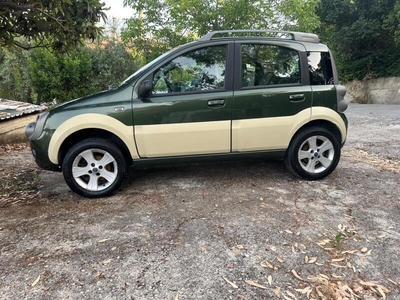 Usato 2006 Fiat Panda 1.2 Diesel 69 CV (5.699 €)