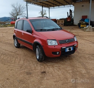Usato 2006 Fiat Panda 4x4 1.3 Diesel (4.500 €)