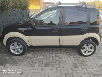 Usato 2006 Fiat Panda Cross Diesel (5.800 €)