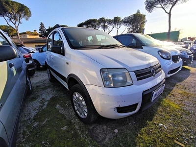 Usato 2008 Fiat Panda 4x4 1.2 Benzin 60 CV (6.000 €)