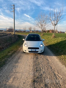 Usato 2008 Fiat Punto 1.2 Diesel 90 CV (4.000 €)