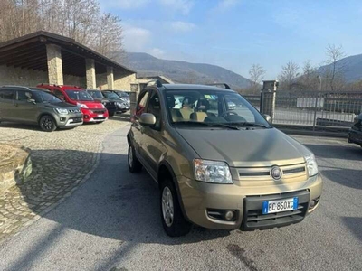 Usato 2010 Fiat Panda 4x4 1.2 Diesel 69 CV (7.000 €)
