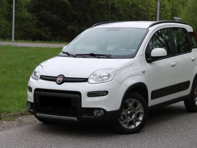 Usato 2010 Fiat Panda 4x4 1.2 Diesel 75 CV (4.000 €)