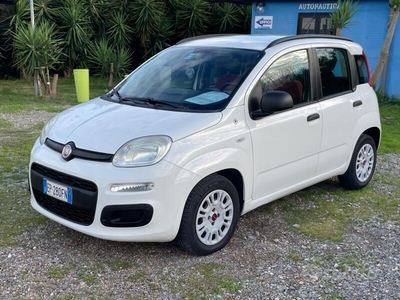 Usato 2012 Fiat Panda 1.2 Diesel 75 CV (8.500 €)