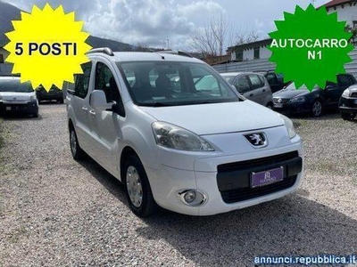 Usato 2012 Peugeot Partner Tepee 1.7 Diesel 92 CV (7.800 €)