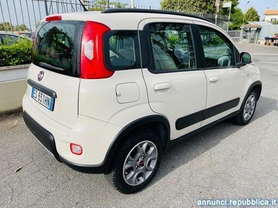 Usato 2014 Fiat Panda 4x4 1.3 Diesel 75 CV (2.500 €)