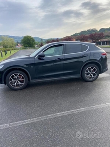 Usato 2019 Alfa Romeo Stelvio 2.1 Diesel 190 CV (31.000 €)