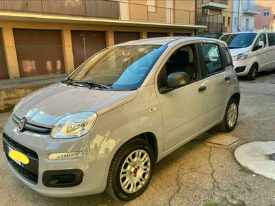 Usato 2019 Fiat Panda Cross 1.2 Benzin 69 CV (8.500 €)