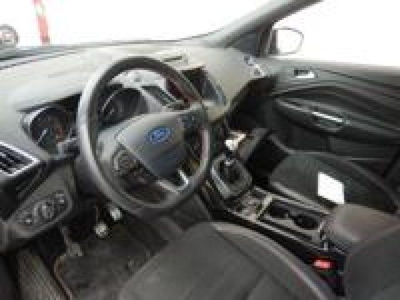 Usato 2019 Ford Kuga 1.5 Diesel 120 CV (19.700 €)