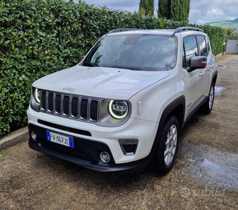 Usato 2019 Jeep Renegade 2.0 Diesel 140 CV (17.800 €)