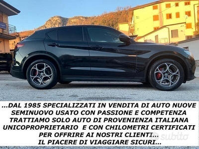 Usato 2020 Alfa Romeo Stelvio 2.1 Diesel 160 CV (21.900 €)
