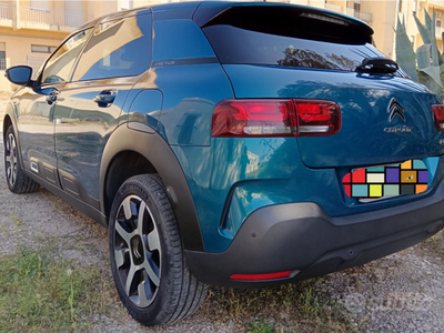 Usato 2020 Citroën C4 Cactus 1.6 Diesel 99 CV (15.000 €)