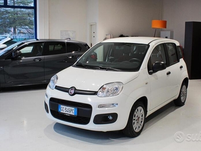 Usato 2020 Fiat Panda 1.0 El_Hybrid 69 CV (10.000 €)