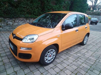 Usato 2020 Fiat Panda 1.2 Benzin 69 CV (9.700 €)