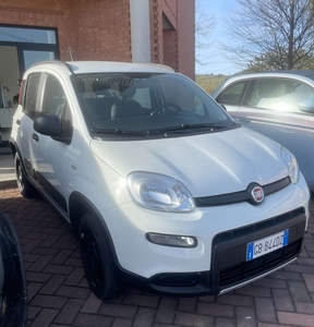 Usato 2020 Fiat Panda 4x4 0.9 Benzin 86 CV (14.500 €)