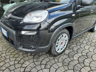 Usato 2023 Fiat Panda 1.0 El_Hybrid 70 CV (12.600 €)