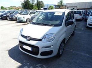 Fiat Panda 1.2 Easy del 2018 usata a Lucca