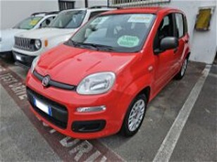 Fiat Panda 1.2 EasyPower Easy del 2019 usata a Altopascio