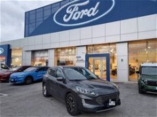 Ford Kuga 1.5 EcoBlue 120 CV 2WD Titanium del 2021 usata a Fano