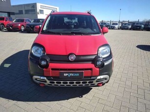 Usato 2019 Fiat Panda 4x4 0.9 Benzin 85 CV (16.900 €)