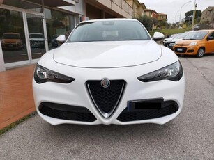 Usato 2020 Alfa Romeo Stelvio 2.1 Diesel 160 CV (26.000 €)