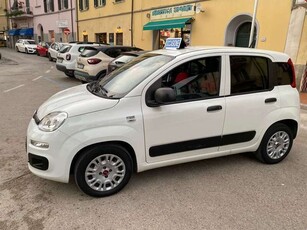 Usato 2021 Fiat Panda 1.0 El_Hybrid 69 CV (11.200 €)