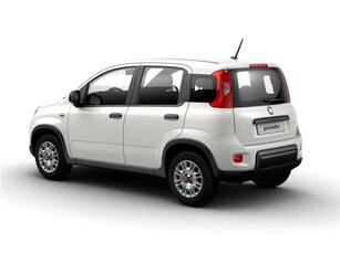 Fiat Panda 1.0 FireFly S&S Hybrid City Cross nuovo