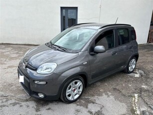 Fiat Panda 1.0 FireFly S&S Hybrid City Life usato