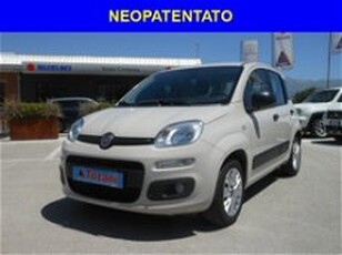 Fiat Panda 1.2 Pop del 2017 usata a L'Aquila