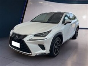 Lexus NX Hybrid 4WD Executive del 2020 usata a Torino