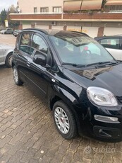 Usato 2020 Fiat Panda 1.2 Benzin 69 CV (9.500 €)