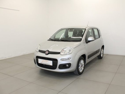 Fiat Panda 1.2 Lounge usato