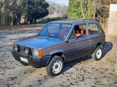 Fiat Panda 4x4 usato