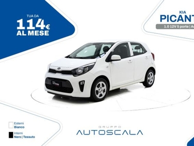 Kia Picanto 1.0 12V 5 porte Active usato