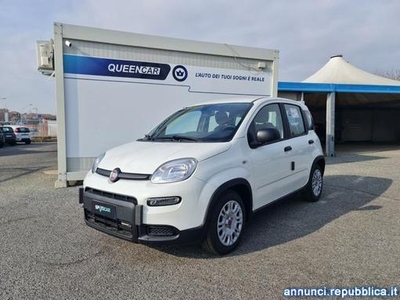 Fiat Panda 1.0 70cv S&S Hybrid Collegno