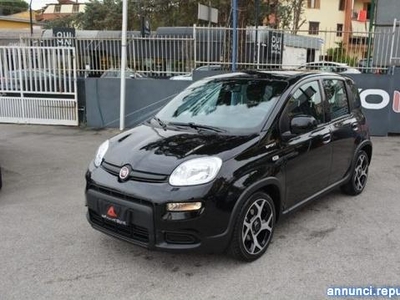 Fiat Panda 1.0 FireFly S&S Hybrid SPORT Cercola