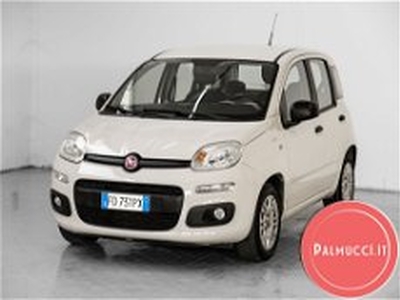 Fiat Panda 1.2 Easy del 2016 usata a Prato