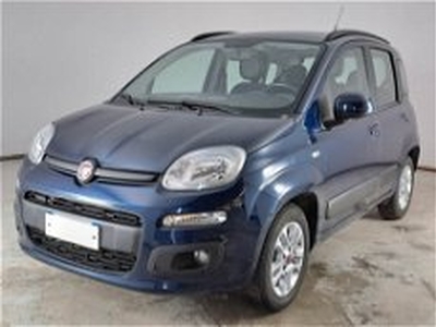 Fiat Panda 1.2 Lounge del 2019 usata a Sala Consilina