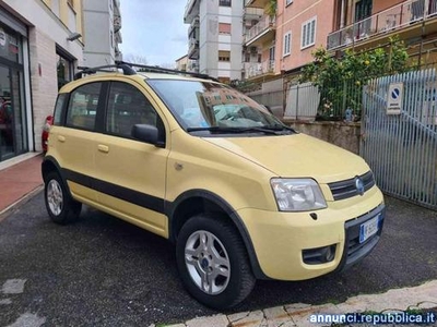Fiat Panda 1.3 MJT 16V 4x4 Roma