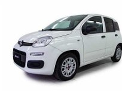 Fiat Panda 1.3 MJT 95 CV S&S Lounge del 2018 usata a Napoli