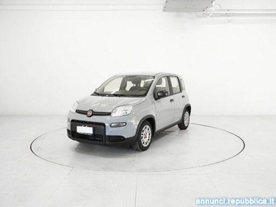 Fiat Panda Panda 1.0 FireFly Hybrid Guidizzolo