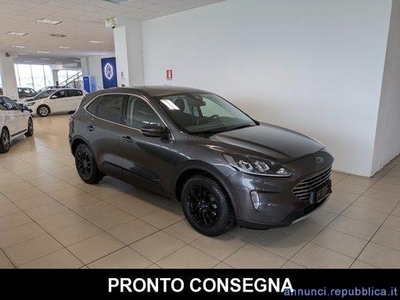 Ford Kuga New 1.5 EcoBlue 120 CV aut. Limena