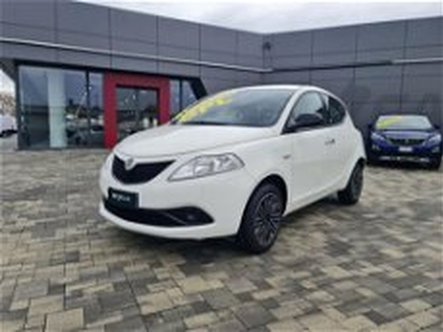 Lancia Ypsilon 1.2 69 CV 5 porte GPL Ecochic Gold del 2019 usata a Pianezza