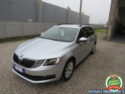 Skoda Octavia 1.6TDI 115CV Ambition Badia Polesine