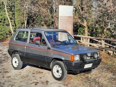 Usato 1985 Fiat Panda 4x4 1.0 Benzin 48 CV (16.900 €)