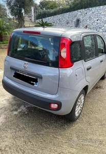 Usato 2020 Fiat Panda Benzin (13.000 €)