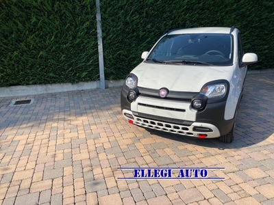 Fiat Panda 1.0